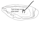 Fork going on plate