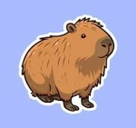 Capybara CAPY TEAM