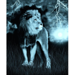 ThunderLions