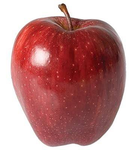 Epic Apple Studios