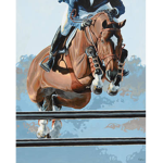 Maple springs eventing academy