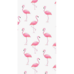 Pink Aruba