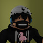 roblox fan group :).......