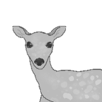 Artemis_Studios