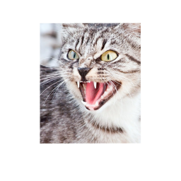 scary (MORE UPDATES)
