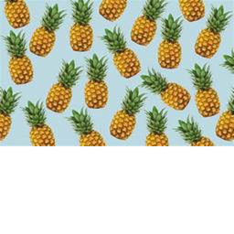 Pineapple photoshoot