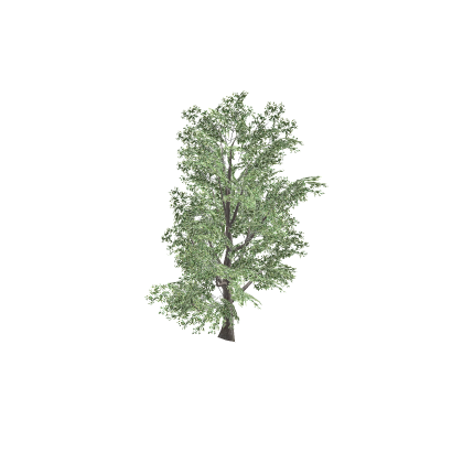 [Updated!] Hello Neighbor Tree  Old Art! PBR Kit T