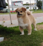 Sparky TND UGC