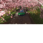 SamedAgirYT