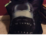 Shark city