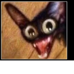 Ugly cat is cage