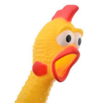 The best chicken cult