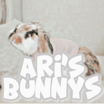 Ari’s Bunnys