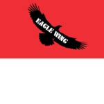 EagleWing Developers