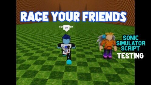 Sonic Simulator Script Testing