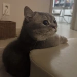 praiseᅠᅠᅠᅠᅠᅠᅠᅠ Group Thumbnail