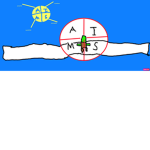 A_I_M_S