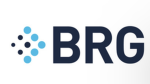 Brookhaven Roleplay Gang (BRG)