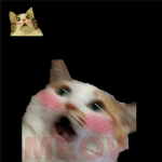 A̸n̸i̸m̸e̸