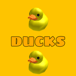 ducks
