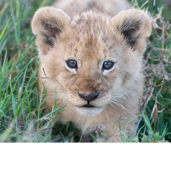 tyrtio222's Place Number: 8