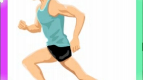 THE RUN RACE