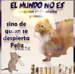 La OB Organización