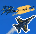The Blue Angels | Pilot Training Flight Simulator
