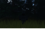 Night Prowlers Private Military Company