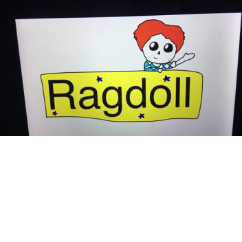 ragdoll