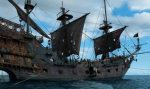 The Pirate community