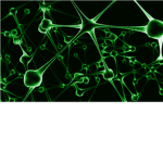 Green-Team