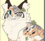 |<SageClan>|
