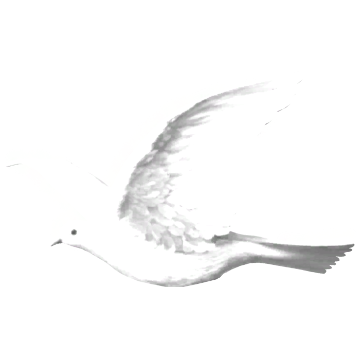 Emissive Dove