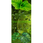 Leaf houseclub