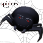 |-spiders web-|