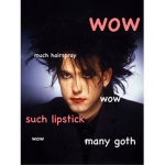 The Heavy Metal/Goth Band Fans