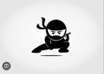 The real ninja9