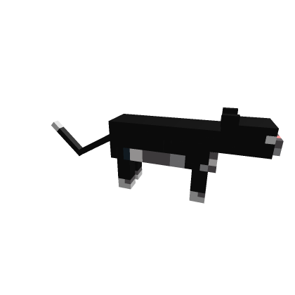 the cat from minecraft