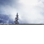 Flying Tree Games