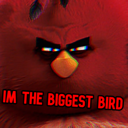 IM THE BIGGEST BIRD
