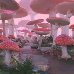Cutie Mushroom’s