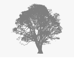 Forgotten.