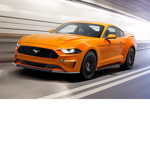 the mustangkiller group