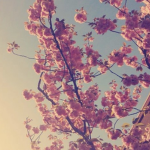 Greenflowerswithyellow