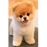 a1234567890a