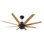 India's Ceiling fan