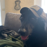 Official Waylon Fan Club