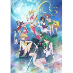 Sailor Guardians that fight for love and justice!