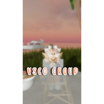 VSCO GROUP :D